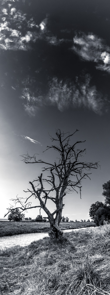 Platz 5 Conny Kleiner